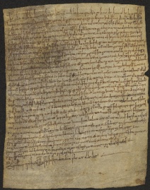 122 C.8.CXXIIr, Donazione fatta dai fratelli Giovanni, Pietro e Domenico a Wiberto vescovo, [Modena], Monastero di S. Pietr, [1040-1050, apr.-lug. 17]
